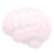 Brain